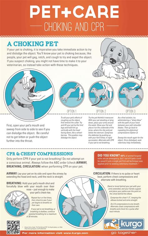 What To Do When Your Dog Is Choking Dog Cpr And First Aid Spotted