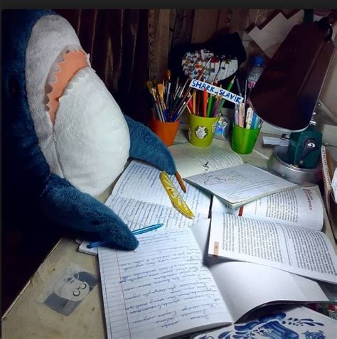 People Rearrange Ikea Shark Plushies To Make Them Do Human Things Funny