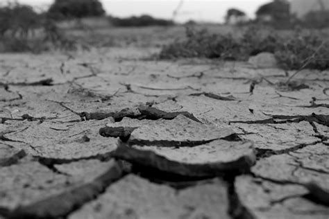 [フリー写真] 乾燥してひび割れた大地でアハ体験 | GAHAG | 著作権フリー写真・イラスト素材集 - GAHAG | 著作権フリー写真 ...