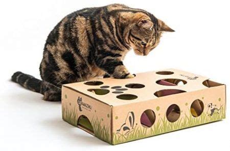 Best Cat Treat Puzzles | Complete Review and Buyers Guide