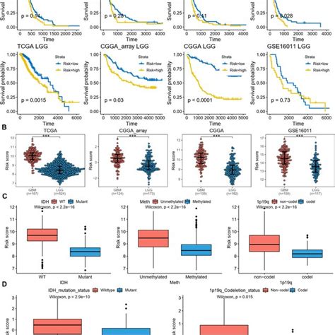 Correlation Between The Disulfidptosis Related Signature And Immune