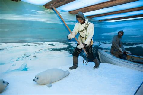 Polar Museum in Tromso editorial stock image. Image of museum - 70352214