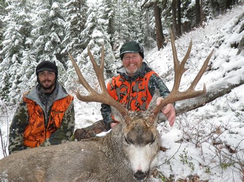 Our Best Mule Deer Hunts | Montana Hunting Outfitter