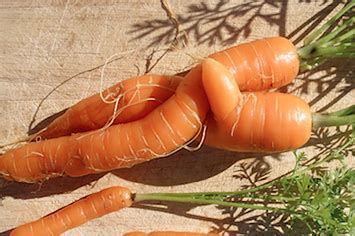 Randy Dellosa YAHOO Interview The Chito Neri Sex Video And Other Video Scandals In The