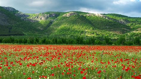 Kyustendil, Bulgaria - backiee