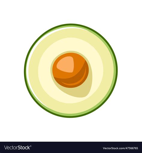 Green Avocado Icon Isolated On White Background Vector Image