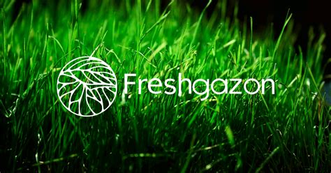 Блог наши работы смотреть на сайте компании Freshgazon