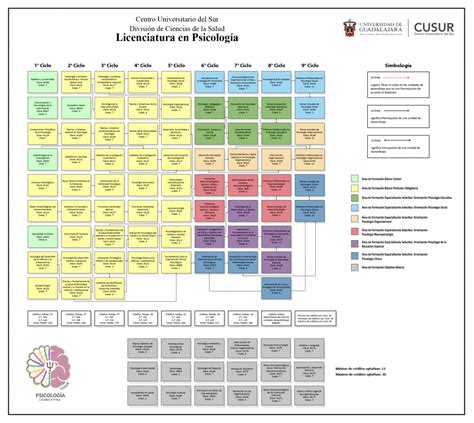 Mapa Curricular Centro Universitario Del Sur