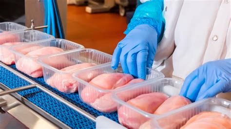 Estados Unidos Aprueba La Venta De Pollo Cultivado En Laboratorios INVDES