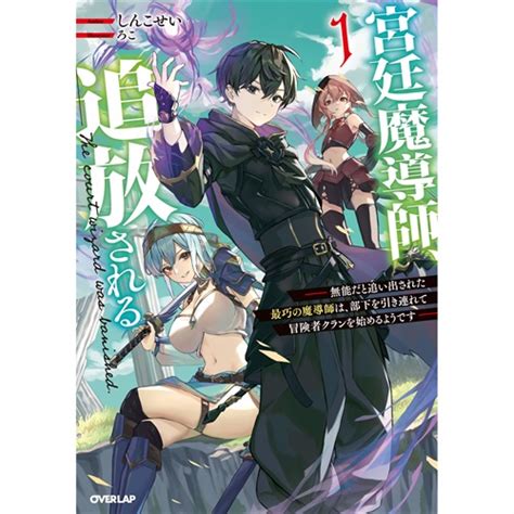 Cover for The Court Magician is Banished ~The most skilled magician who was kicked out for being incompetent seems to start an adventurer clan with his subordinates~