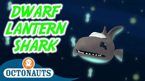 Octonauts dwarf lantern shark - Qastc