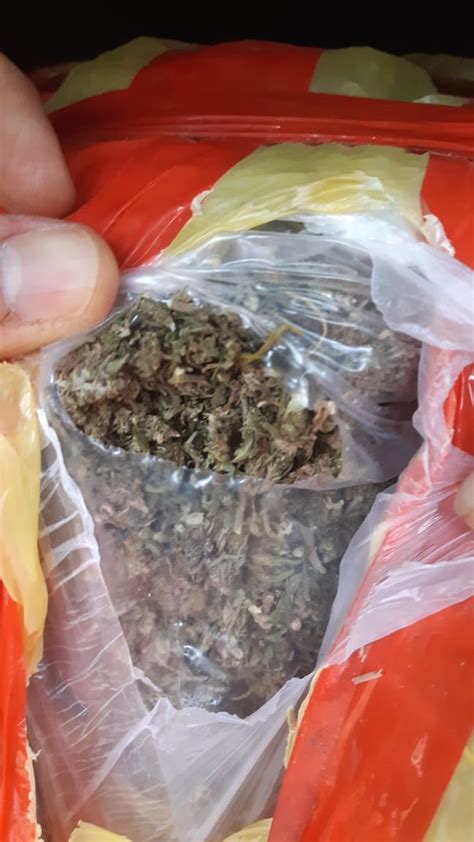 PRF apreende Skank Maconha e Haxixe em Nova Esperança Mandaguari Online