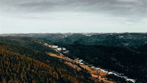 Wallpaper forest, trees, aerial view, autumn, sky hd, picture, image