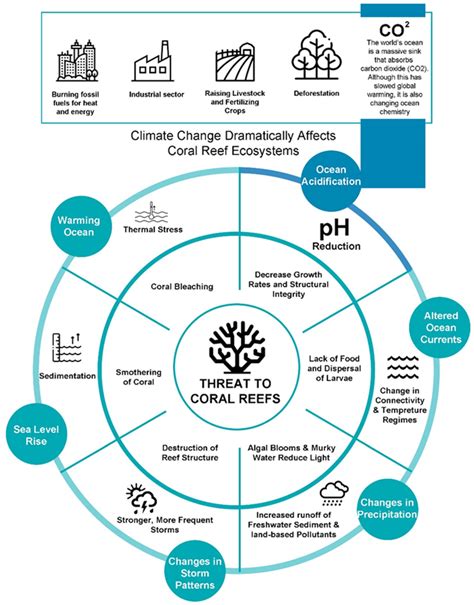 The Evolution of Coral Reef under Changing Climate: A Scientometric Review