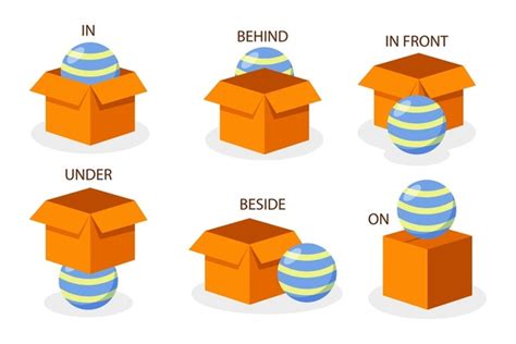 338 Ball front box Vektor Stok dan Seni Vektor | Shutterstock