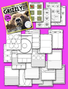 Grizzly Bear Life Cycle Cut and Paste by Savvy Teaching Tips | TpT