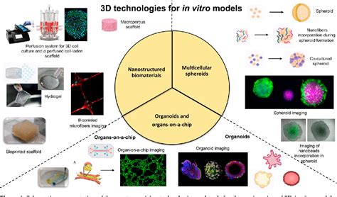 Figure 1 From Advanced Multi Dimensional Cellular Models As Emerging