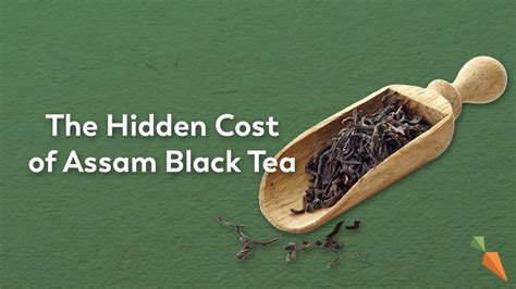 The True Cost Of Assam Black Tea Foodunfolded