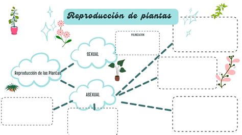 Mapa Mental Reproducción De Las Plantas Reproduccion De Plantas Mapas Plantas