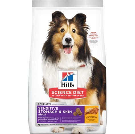 Sensitive Dog Skin: What Causes It and How Can I Treat It?