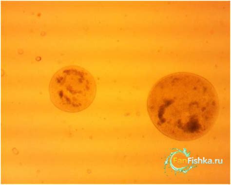 Blog Posts - pixelsspecification