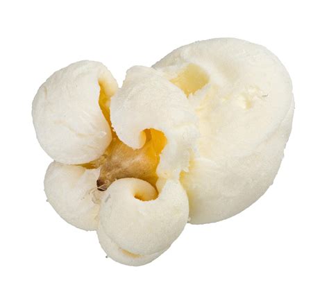 Premium Photo Single Popcorn Seed Macro Shot Isolated On White Background