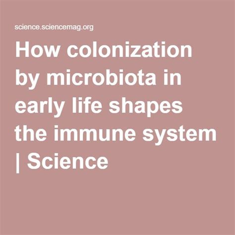 How Colonization By Microbiota In Early Life Shapes The Immune System Immune System