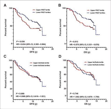 Kaplan Meier Survival Curves For All Patients With Breast Carcinoma Er