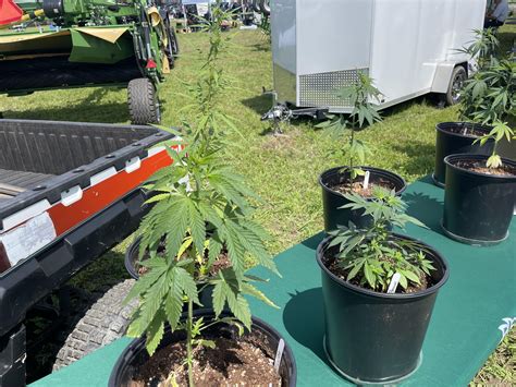 2021 Empire Farm Days | Page 3 | Green Tractor Talk