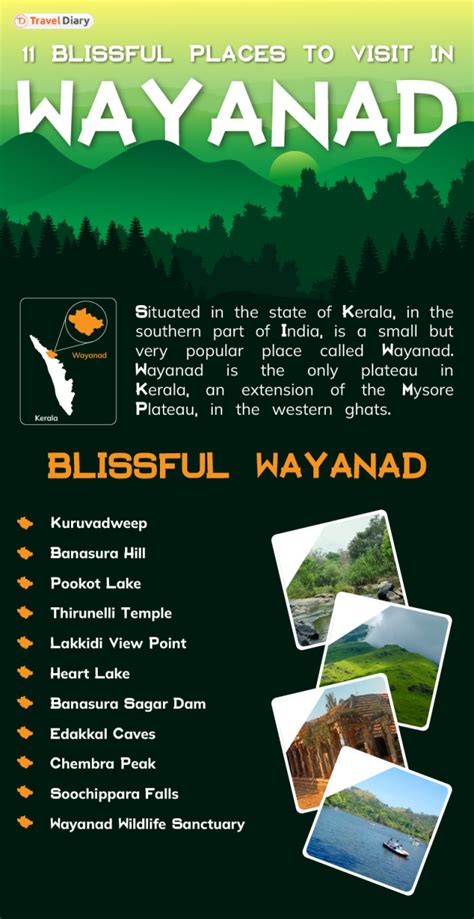 12 Mesmerizing Places To Visit In Wayanad