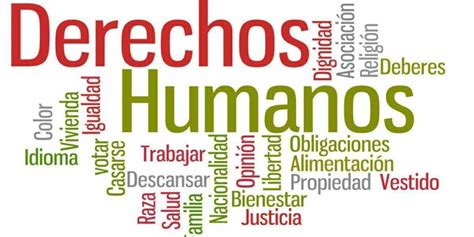 Declaraci N De Las Academias Nacionales Sobre Los Derechos Humanos