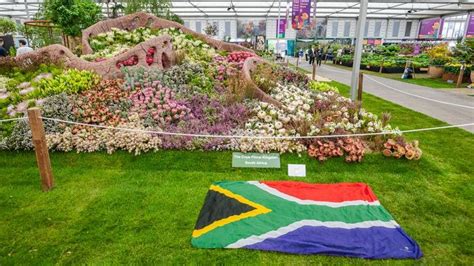 Watch Coct Congratulates Homegrown Chelsea Flower Show Champs