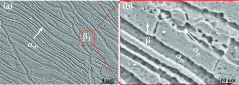 The microstructure of the uni-directionally rolled titanium alloy. (a ...