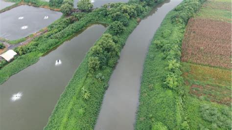 降低鹽水區淹水風險 岸內排水護岸治理第一期完工 好視新聞網