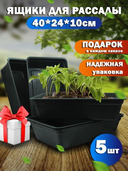 Ящик для рассады на подоконник, 40*24*10 см купить по низкой цене в ...