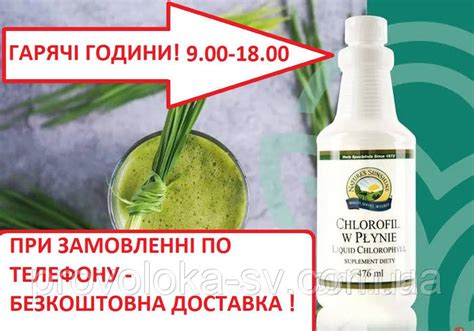 Хлорофилл жидкий NSP 476 мл Chlorophyll Liquid NSP, цена 995 грн — Prom ...