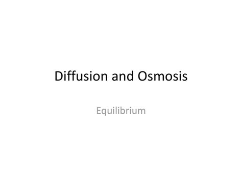 Diffusion And Osmosis Equilibrium Ppt Download