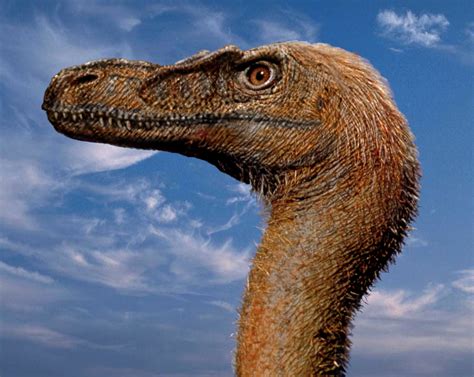 Последние добавленные :: Динопедия.ру — Энциклопедия динозавров