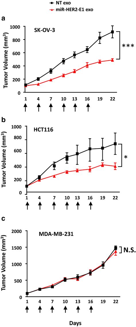 Antitumor Efficacy Of Exosome Delivered MiR HER2 E1 In Vivo Nude Mice