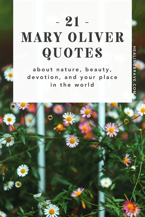 Mary Oliver Quotes About Nature Beauty Devotion And Your Place I