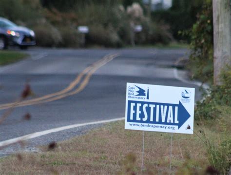 Cape May Bird Observatory - Cape May Experiences and Activities