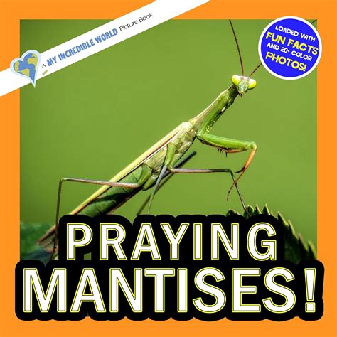 Amazon | Praying Mantises!: A My Incredible World Picture Book for