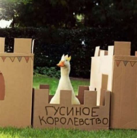 Лучшая подборка картинок с приколами