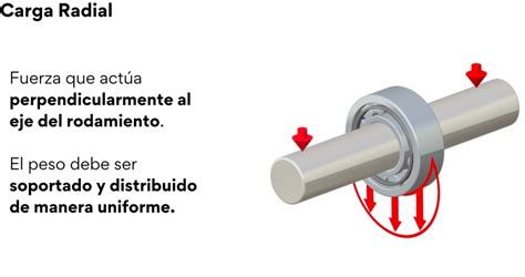 Capacidad De Carga En Rodamientos Predictiva21