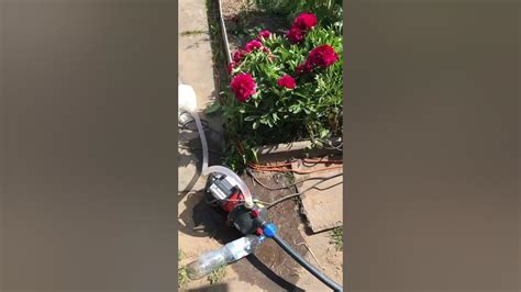 Sterwins 900w 3800л./час - YouTube