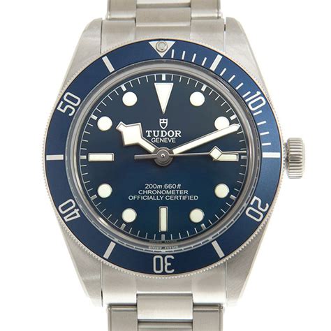 tudor pchome