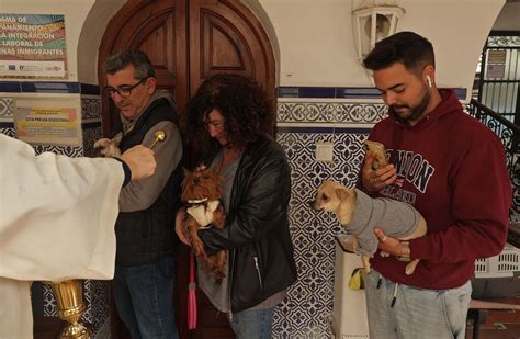 Festividad De San Ant N La Bendici N De Mascotas En La Parroquia