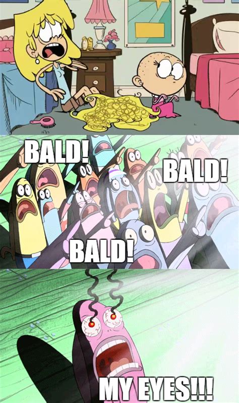 Bald Rdavie504