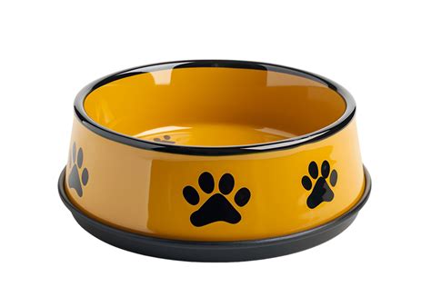 Pet Food Bowl On Transparent Background 44858416 Png