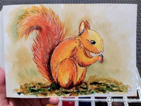 Отзыв о Акварельные краски "Сонет" | Профессиональная акварель для ...